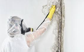 Best Residential Mold Inspection & Testing  in Alpena, MI